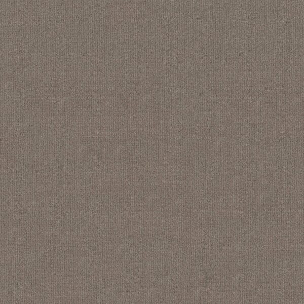 Shaw Floors Carpet Sierra Vista Arrowhead 00751_5E824