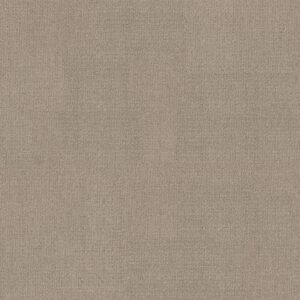 Shaw Floors Carpet Sierra Vista Park Avenue 00770_5E824