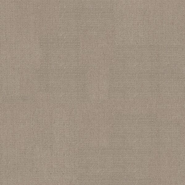 Shaw Floors Carpet Sierra Vista Park Avenue 00770_5E824