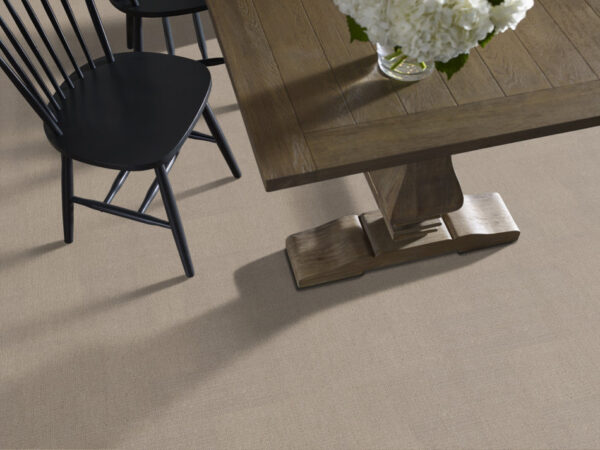 Shaw Floors Carpet Sierra Vista Park Avenue 00770_5E824 - Image 2