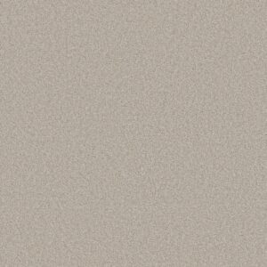 Shaw Floors Carpet Del Rio I Split Sediment 00104_5E825