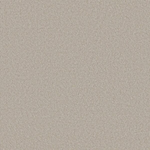 Shaw Floors Carpet Del Rio I Split Sediment 00104_5E825
