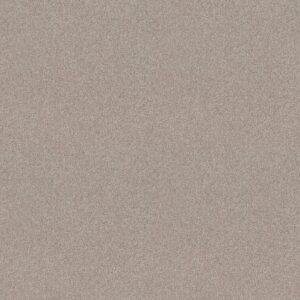 Shaw Floors Carpet Del Rio I Fossil Path 00108_5E825
