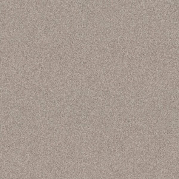 Shaw Floors Carpet Del Rio I Fossil Path 00108_5E825