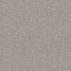 Shaw Floors Carpet Del Rio I Baltic Stone 00128_5E825