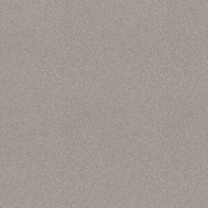 Shaw Floors Carpet Del Rio I Baltic Stone 00128_5E825