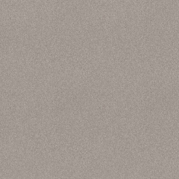 Shaw Floors Carpet Del Rio I Baltic Stone 00128_5E825