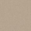 Shaw Floors Carpet Del Rio I Cream 00151_5E825