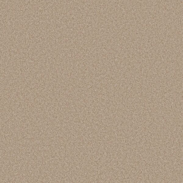 Shaw Floors Carpet Del Rio I Hayloft 00152_5E825