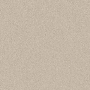 Shaw Floors Carpet Del Rio I Champagne Toast 00153_5E825