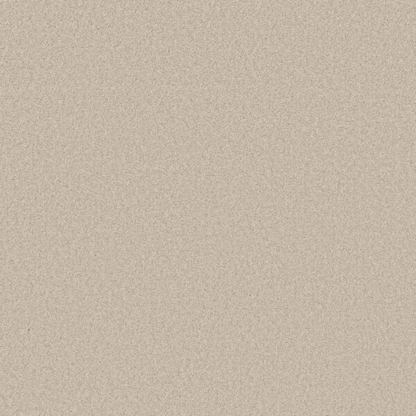 Shaw Floors Carpet Del Rio I Champagne Toast 00153_5E825