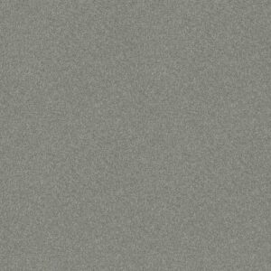 Shaw Floors Carpet Del Rio I Water's Edge 00307_5E825