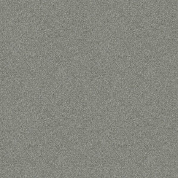 Shaw Floors Carpet Del Rio I Water's Edge 00307_5E825