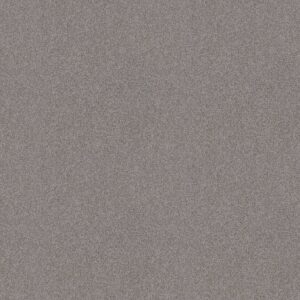 Shaw Floors Carpet Del Rio I Grey Fox 00504_5E825