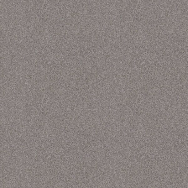 Shaw Floors Carpet Del Rio I Grey Fox 00504_5E825