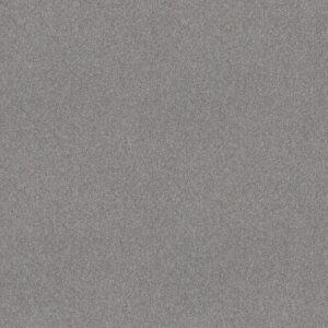 Shaw Floors Carpet Del Rio I Sentimental 00538_5E825