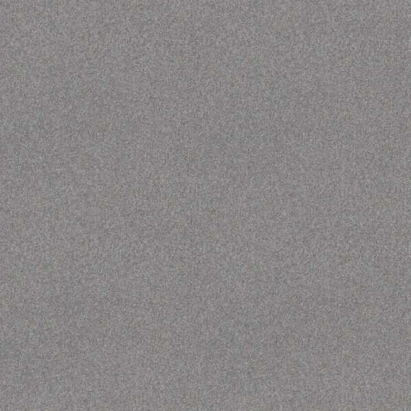 Shaw Floors Carpet Del Rio I Sentimental 00538_5E825