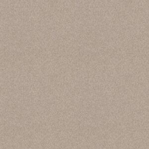 Shaw Floors Carpet Del Rio I Sandstone 00743_5E825