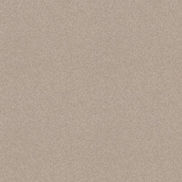 Shaw Floors Carpet Del Rio I Sandstone 00743_5E825