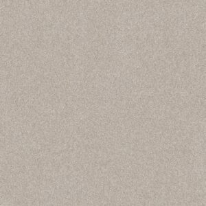 Shaw Floors Carpet Del Rio II Split Sediment 00104_5E826