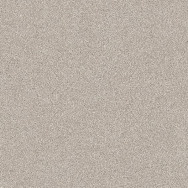 Shaw Floors Carpet Del Rio II Split Sediment 00104_5E826