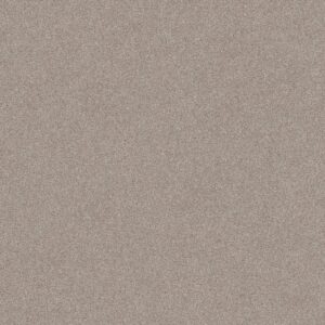 Shaw Floors Carpet Del Rio II Fossil Path 00108_5E826