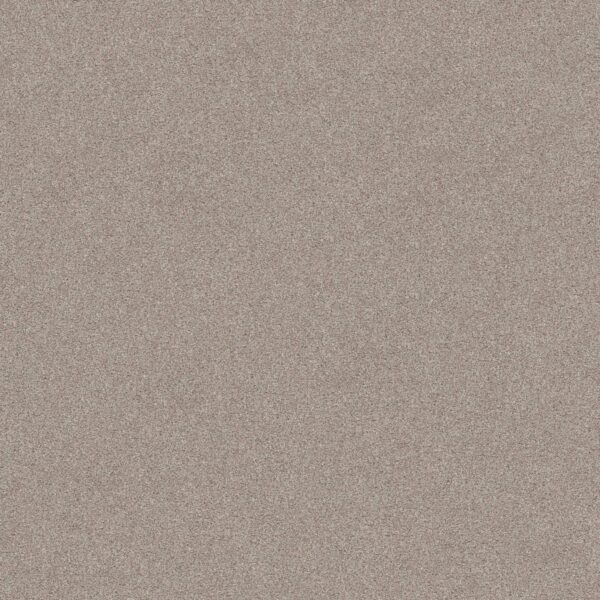 Shaw Floors Carpet Del Rio II Fossil Path 00108_5E826