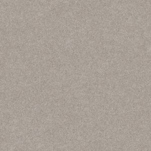 Shaw Floors Carpet Del Rio II Baltic Stone 00128_5E826