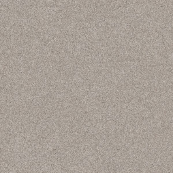 Shaw Floors Carpet Del Rio II Baltic Stone 00128_5E826