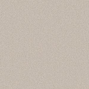 Shaw Floors Carpet Del Rio II Linen 00150_5E826