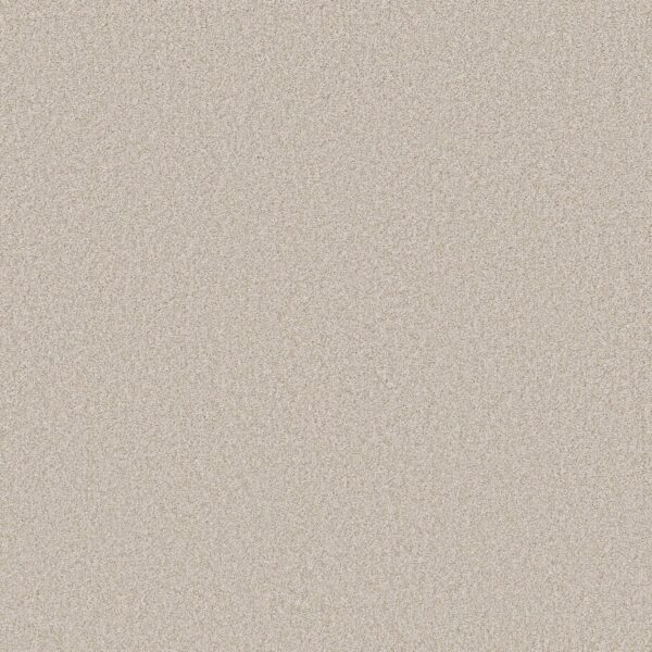 Shaw Floors Carpet Del Rio II Linen 00150_5E826