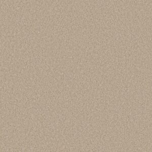 Shaw Floors Carpet Del Rio II Cream 00151_5E826