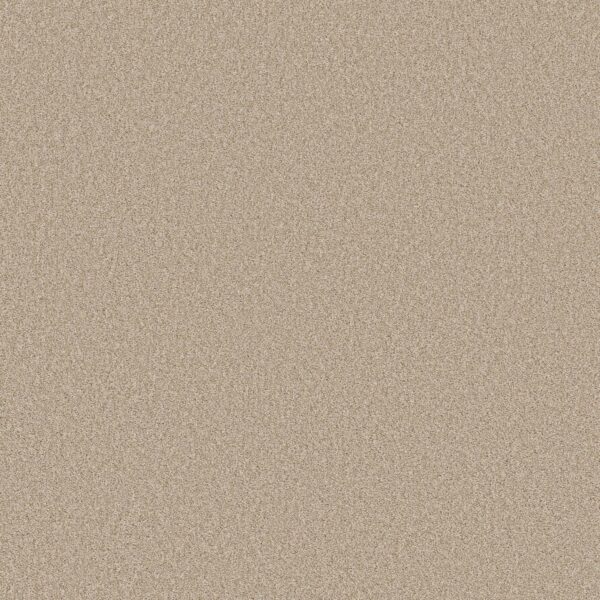 Shaw Floors Carpet Del Rio II Cream 00151_5E826