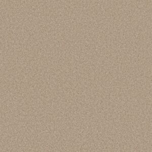 Shaw Floors Carpet Del Rio II Hayloft 00152_5E826