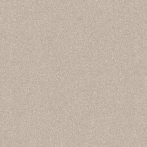 Shaw Floors Carpet Del Rio II Champagne Toast 00153_5E826
