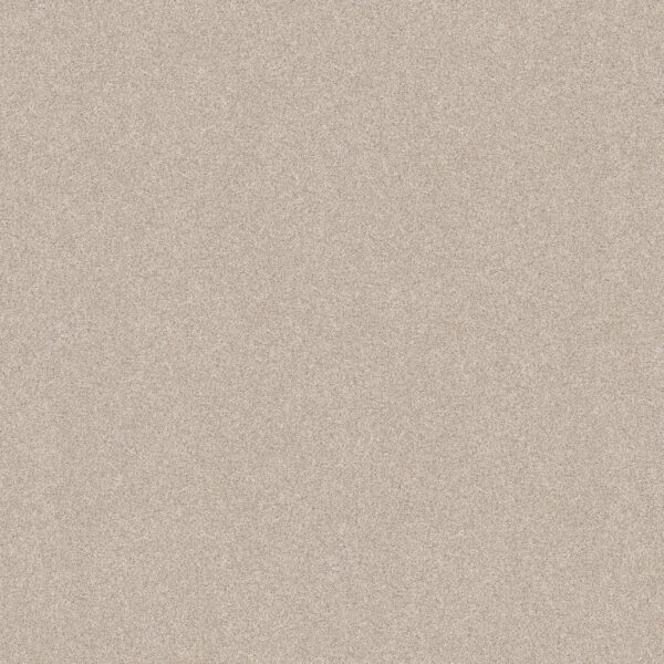 Shaw Floors Carpet Del Rio II Champagne Toast 00153_5E826
