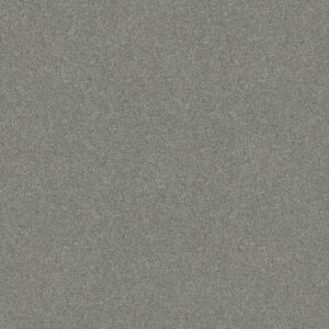 Shaw Floors Carpet Del Rio II Water's Edge 00307_5E826