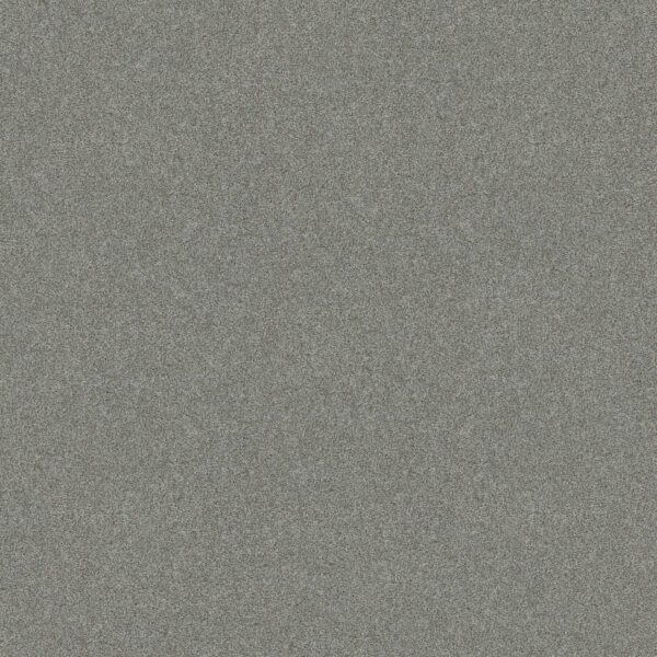 Shaw Floors Carpet Del Rio II Water's Edge 00307_5E826