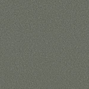 Shaw Floors Carpet Del Rio II Evergreen 00350_5E826