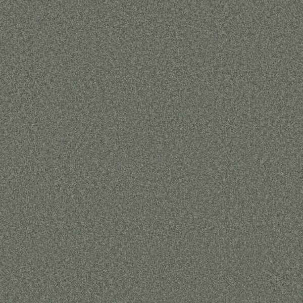 Shaw Floors Carpet Del Rio II Evergreen 00350_5E826