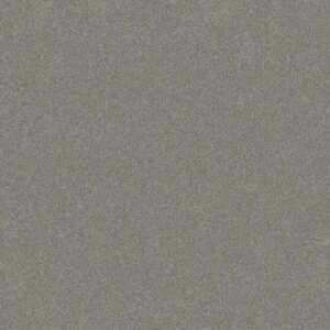 Shaw Floors Carpet Del Rio II Grey Fox 00504_5E826