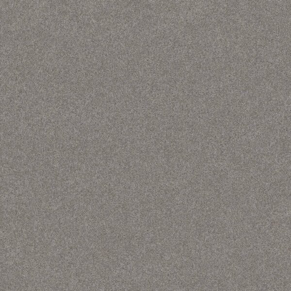 Shaw Floors Carpet Del Rio II Grey Fox 00504_5E826