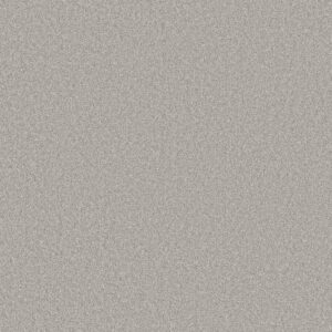 Shaw Floors Carpet Del Rio II Vanity 00550_5E826
