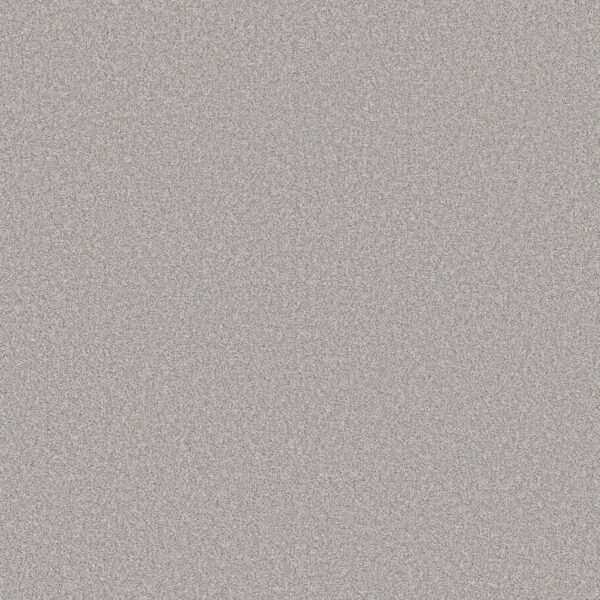 Shaw Floors Carpet Del Rio II Vanity 00550_5E826