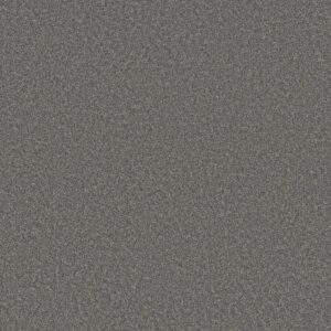 Shaw Floors Carpet Del Rio II Zinc 00551_5E826