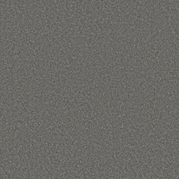 Shaw Floors Carpet Del Rio II Zinc 00551_5E826