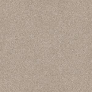 Shaw Floors Carpet Del Rio II Sandstone 00743_5E826