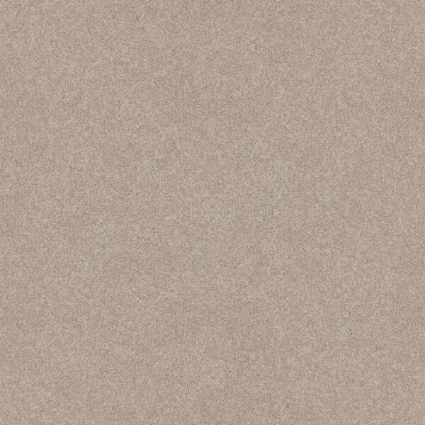 Shaw Floors Carpet Del Rio II Sandstone 00743_5E826