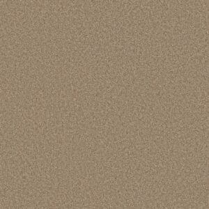 Shaw Floors Carpet Del Rio II Dune 00750_5E826