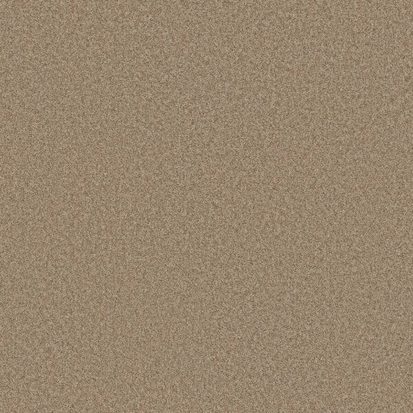 Shaw Floors Carpet Del Rio II Dune 00750_5E826